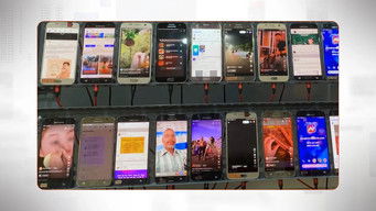 Who Are the Social Media Fraudsters?