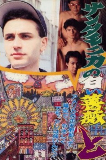 White Rose of Santa Monica: Confused (1993)