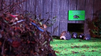 The Littlest Hoglet - S1E01