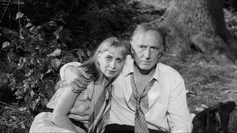 Юха (1999)