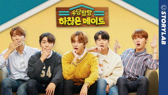 Crazy Petty Housemate (2019)