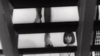 Èves futures (1964)