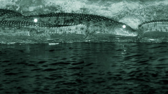 Night Stalkers (2011)