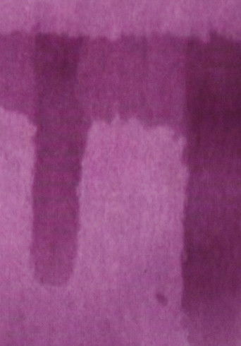 Everything about 8mm Raw Film