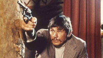 #8 The Stone Killer