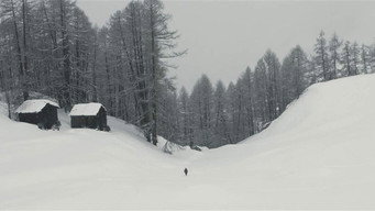 Brelindzè (2018)