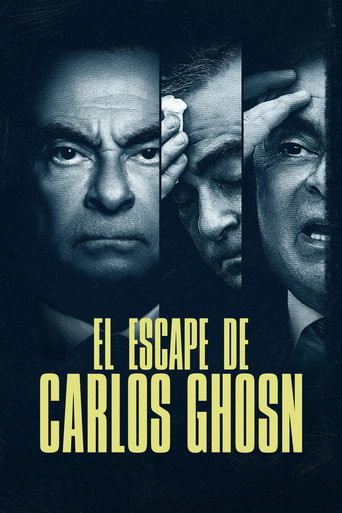 Póster del título