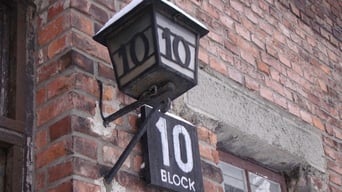 Made in Auschwitz: The Untold Story of Block 10 (2019)