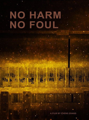 No Harm No Foul (2017)