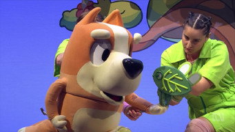 Bluey's Big Play (2025)