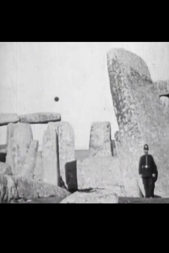 Stonehenge - Panorama of the Ancient Druidical Remains poster