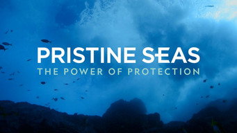 Cena 5 de Pristine Seas: O Poder da Proteção