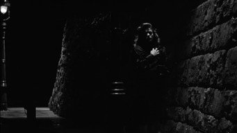 #11 Cat People