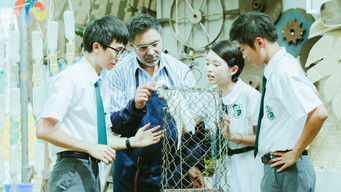 Galeria 2 - 哪一天我們會飛