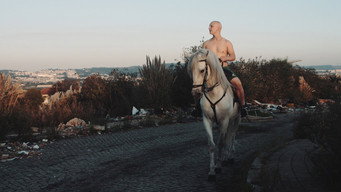 Tarrafal (2017)