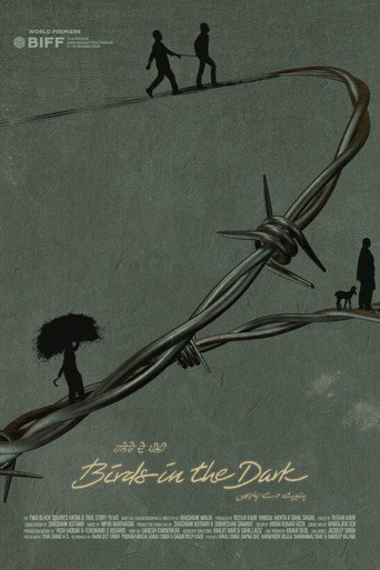 Birds in the Dark