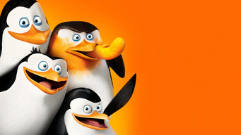 Penguins of Madagascar backdrop 7