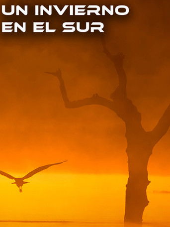 Un Invierno en el Sur poster