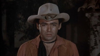#7 The Gun Hawk