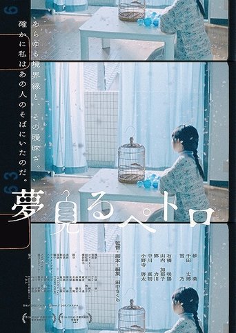 Dreaming Petro poster