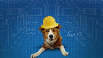 Pet Nation Renovation (2016- )