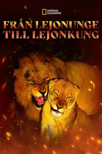 Poster för Game of Lions