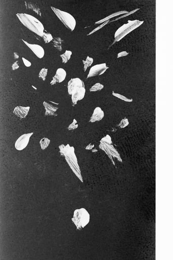 The Death of a Star Is Such a Beautiful Thing poster