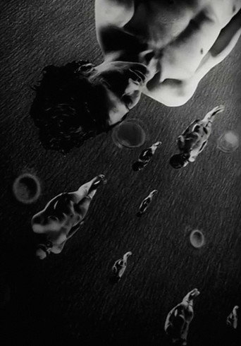 Alephah galeri 12