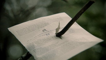 La espera (2015)
