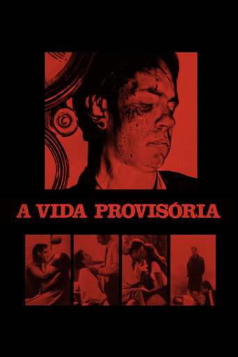 A Vida Provisória — Pôsteres 14