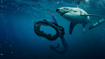 #9 Saved from a Shark