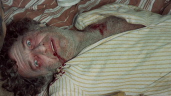 #9 The Violent Professionals