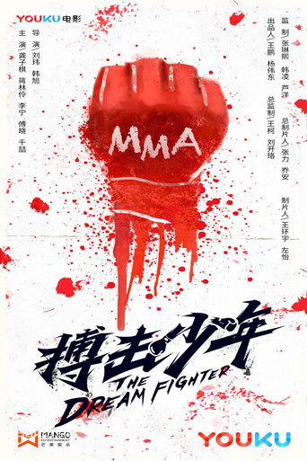 搏击少年 poster