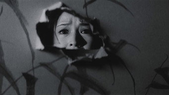 Дикі гуси долі (1953)