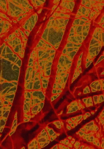 Seven Minutes in May (1995)