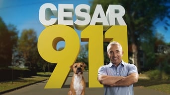 Cesar 911 (2014-2016)