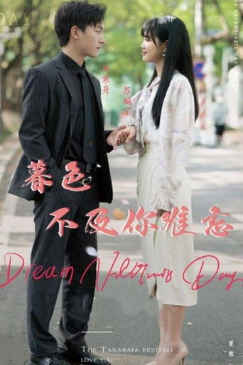 暮色不及你难忘 poster