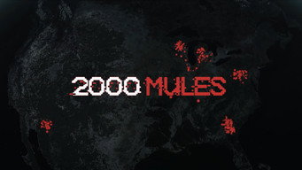 #6 2000 Mules