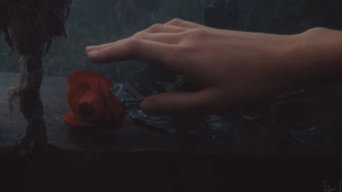 The Garden of Desires (1988)