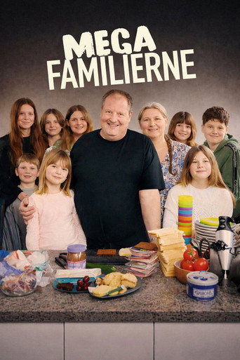 Official poster for Season 1