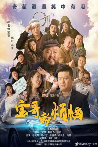 宝哥的烦恼 poster