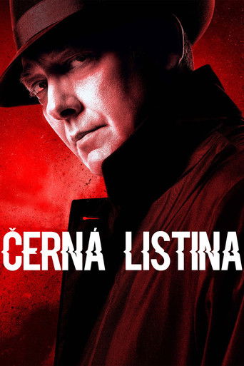 Čern&aacute; listina (2013)