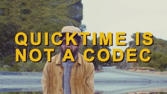 Escena 1 de What Codec Should I Use?