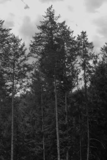 Words Are The Problem poster