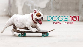 Dogs 101 (2008-2011)