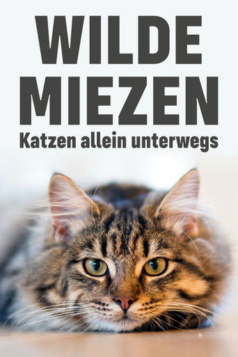 Wilde Miezen - Katzen allein unterwegs (2017)