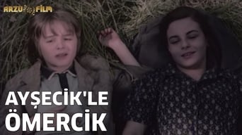 Aysecik and Omercik (1969)