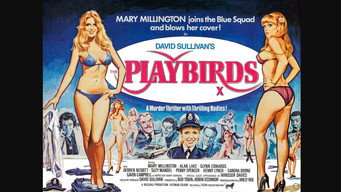 #4 The Playbirds