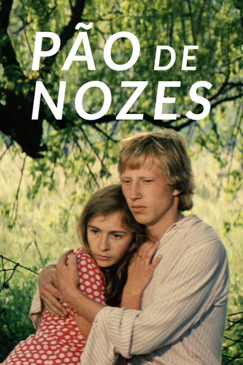 Pão de Nozes