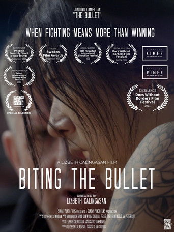 Biting The Bullet poster
